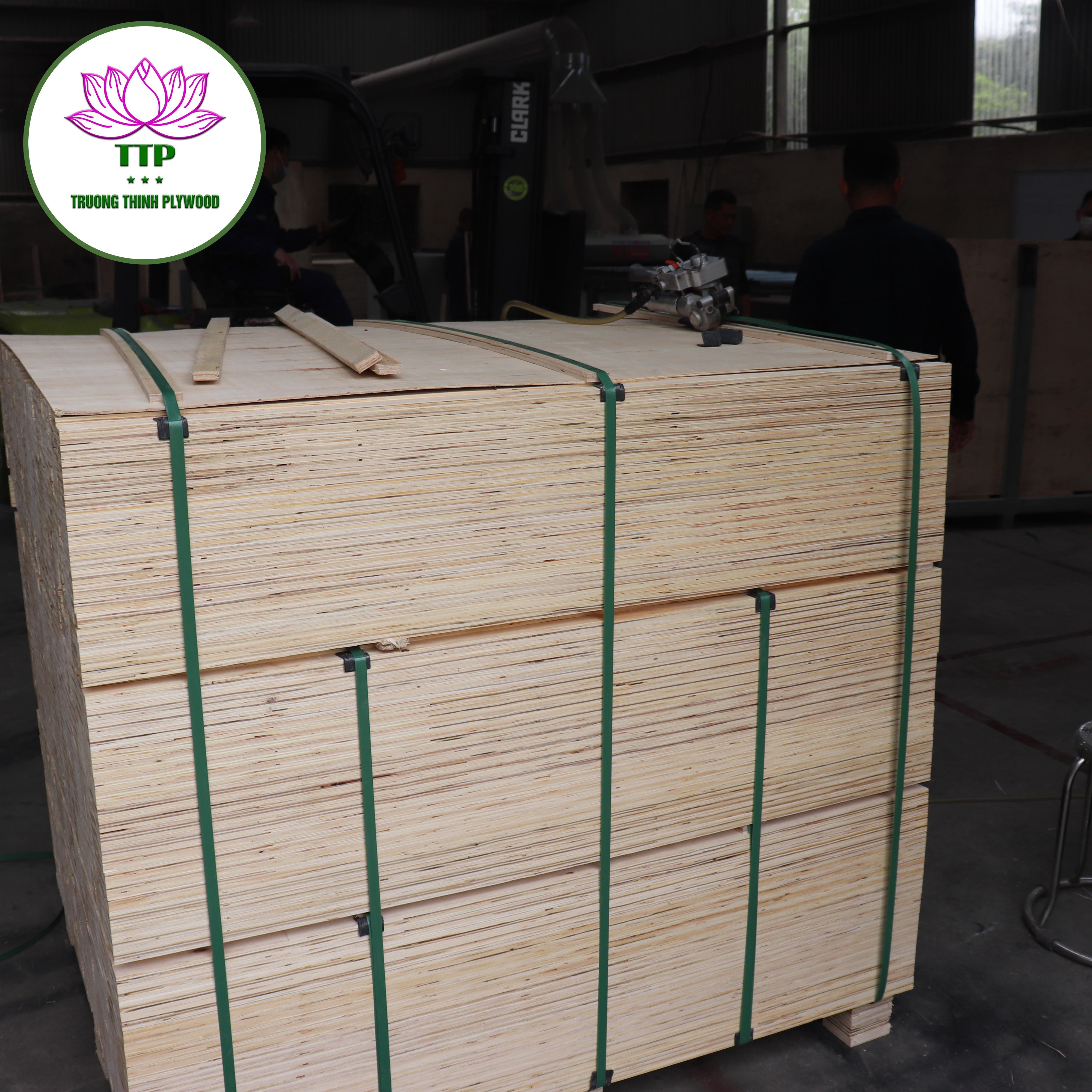 Q HOT DEAL Acacia Laminated Veneer LVL Pine Poplar Core for Pallet Construction Packaging Box Door Frame Bed Slats of Any Size