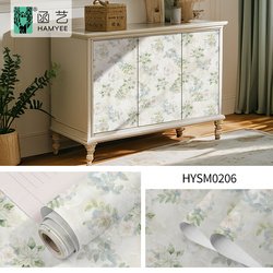 HYSM0206