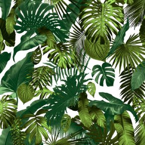 21inch Tropical 3d wallpaper peel and stick palm parrot beige white green orange leaves removable stick