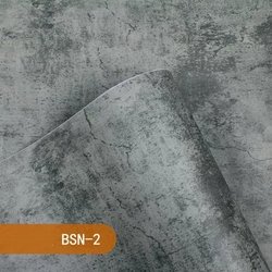 BSN-2