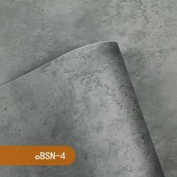 BSN-4