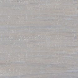 CC16229