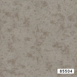 85504