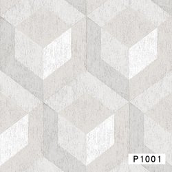 P1001