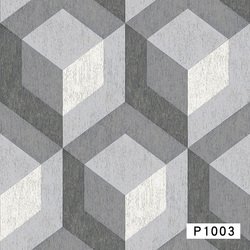 P1003