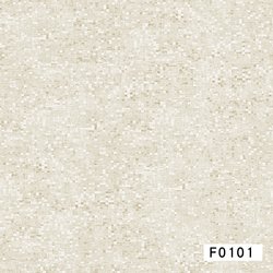 F0101