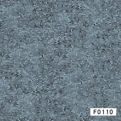 F0110
