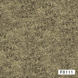 F0111