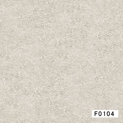 F0104