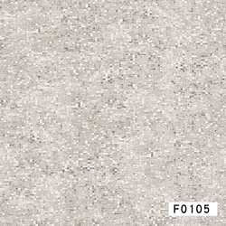 F0105