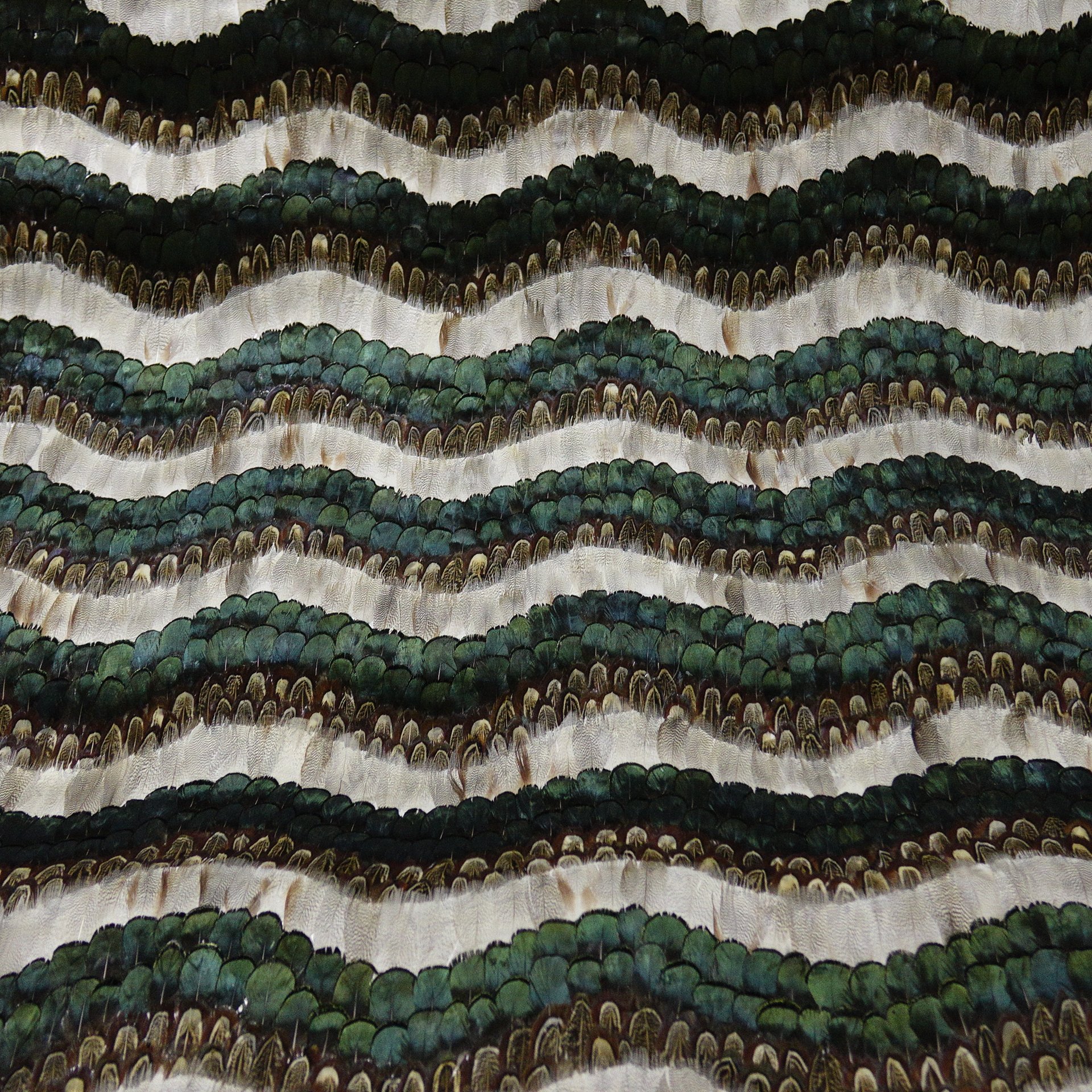 Zhenling high end wall design real natural peacock feather wallpaper for interior home wall decoration