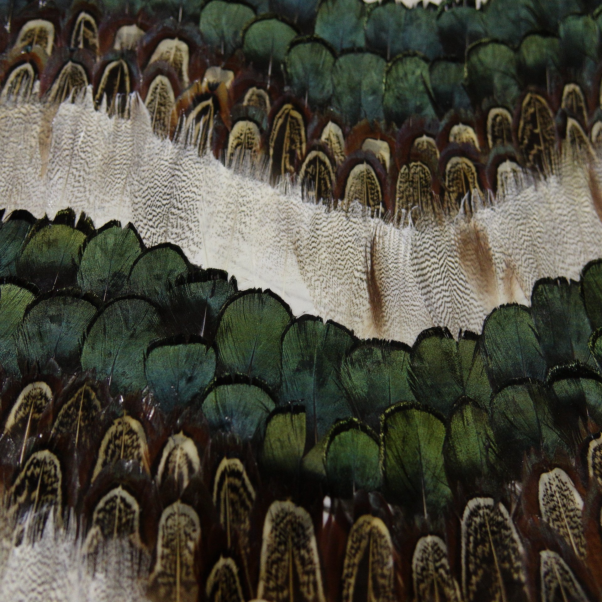 Zhenling high end wall design real natural peacock feather wallpaper for interior home wall decoration