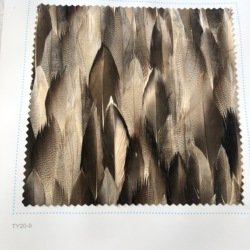 FW209