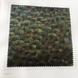 FW215