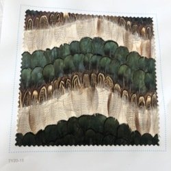 FW216