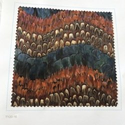 FW217