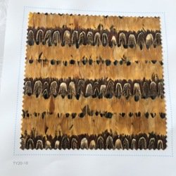 FW219