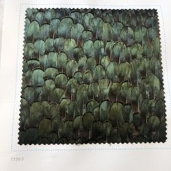 FW202