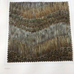 FW204