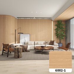 6002-1