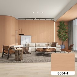 6004-1