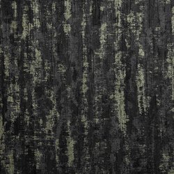 DS001-01