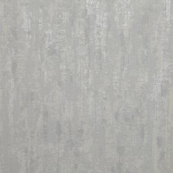 DS001-11