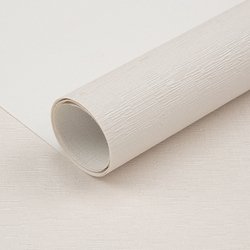V0202