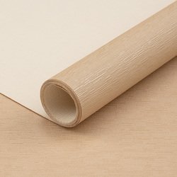 V0205