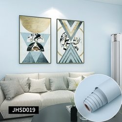 JHDS019