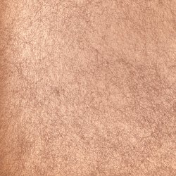 DS008-28