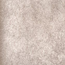 DS008-29