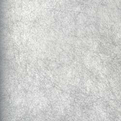 DS008-31