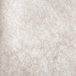 DS008-32