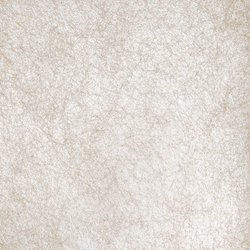 DS008-33