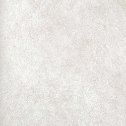 DS008-34