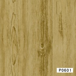 P0601