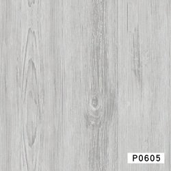 P0605