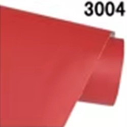 3004