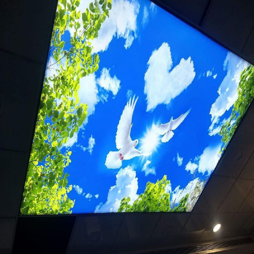 Buy Good quality UV printed Decorative Wallpaper style PVC roof decor film sky design ceiling tiles for swimming pool