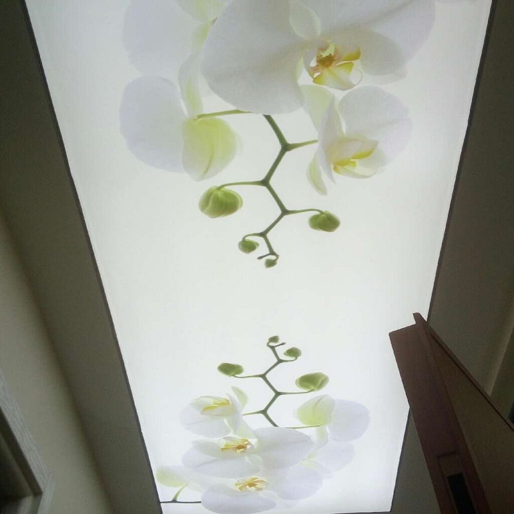 Buy Good quality UV printed Decorative Wallpaper style PVC roof decor film sky design ceiling tiles for swimming pool