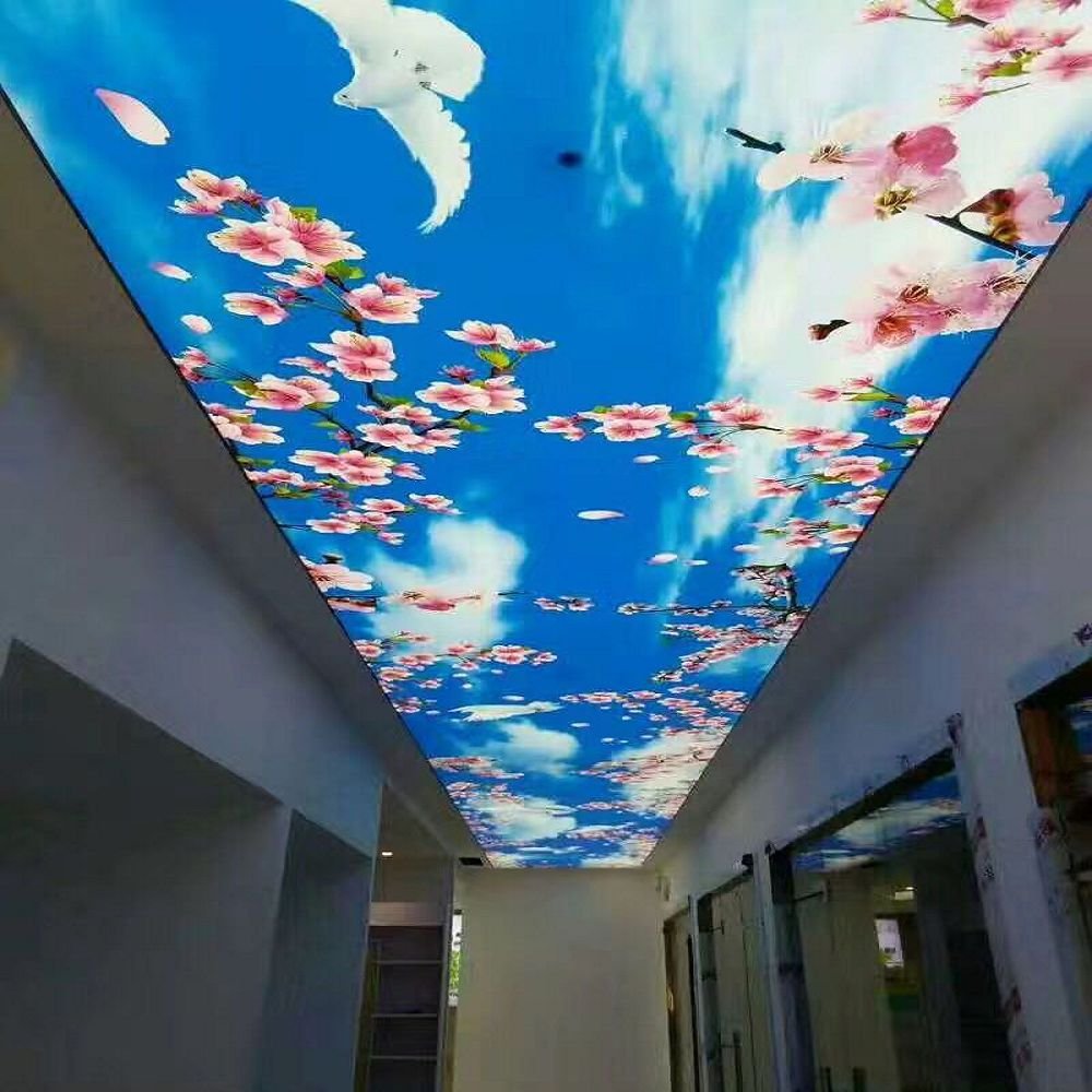 Buy Good quality UV printed Decorative Wallpaper style PVC roof decor film sky design ceiling tiles for swimming pool