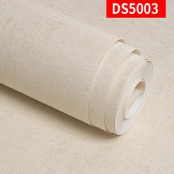 DS5003