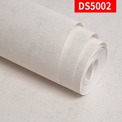DS5002