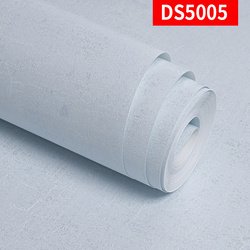 DS5005