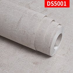 DS5001