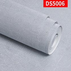 DS5006