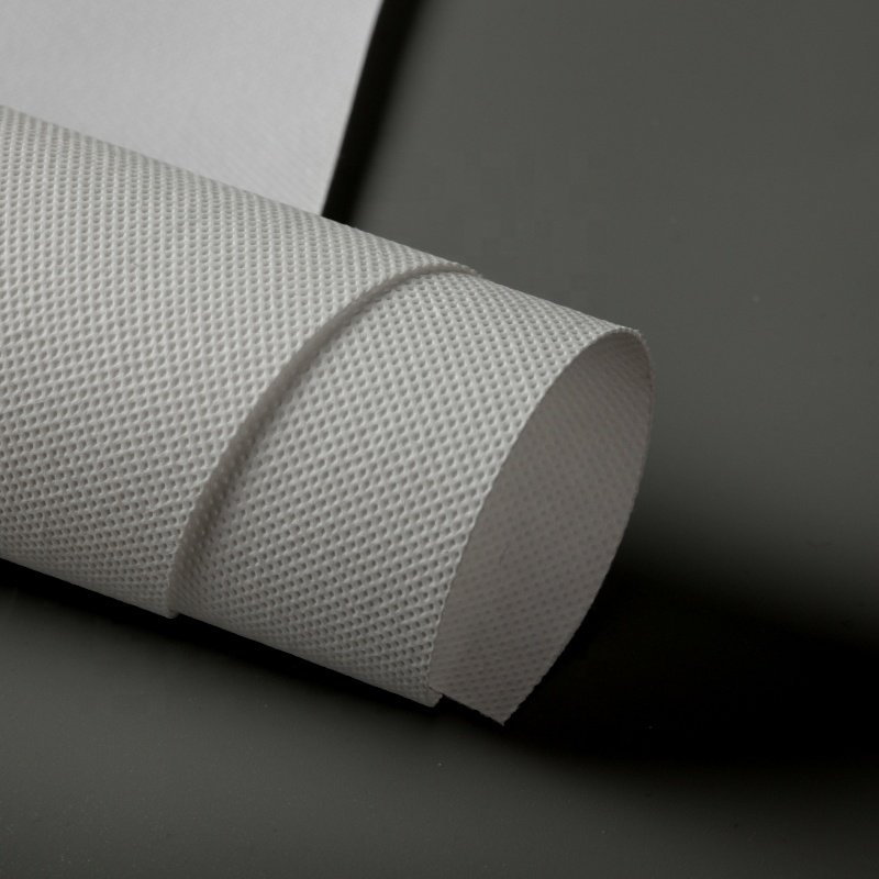 Inkjet Economical Non Woven Wallpaper Wall Coverings Canvas Roll
