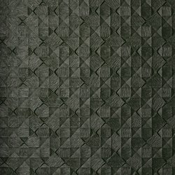 DS010-11