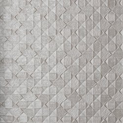DS010-13